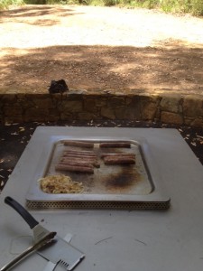 Mount Frankland BBQ