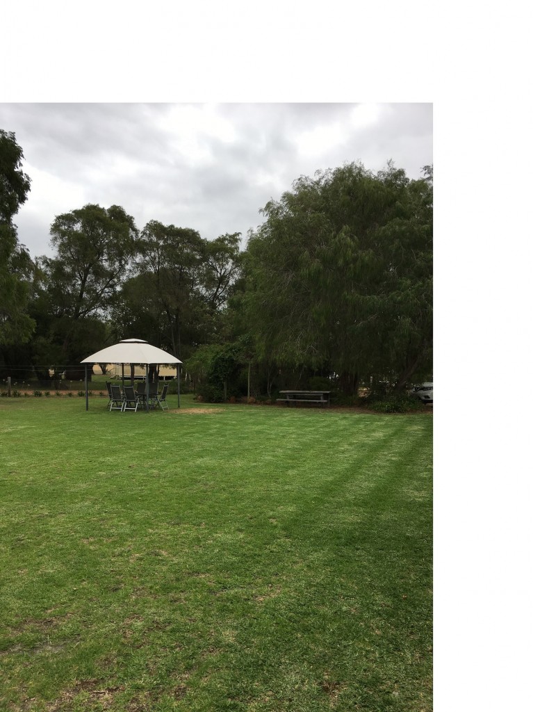 backyard with gazebo